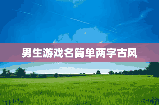 男生游戏名简单两字古风(男生游戏名简单两字古风霸气)